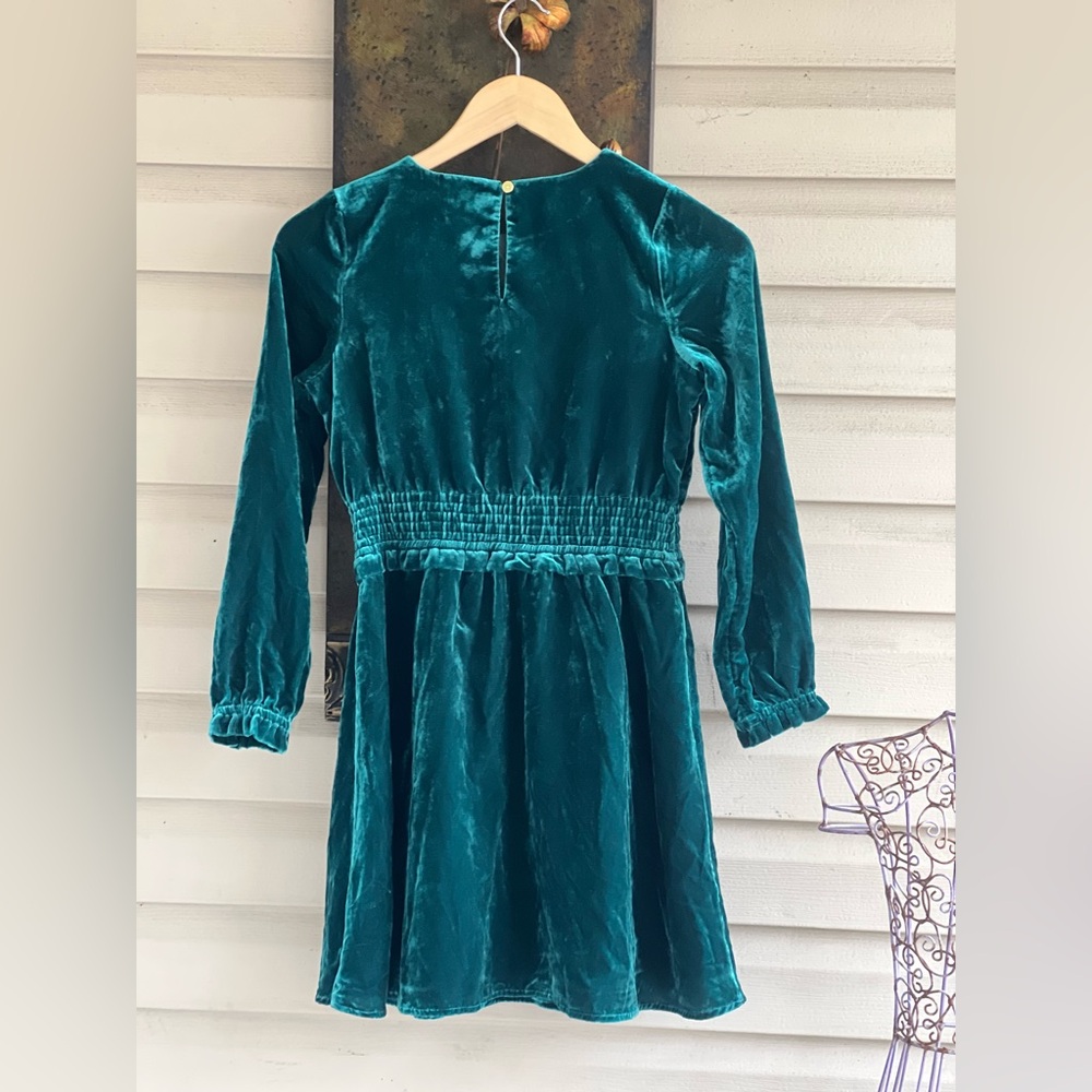 Crewcuts Girls' smocked velvet dress - Picture 9 of 9